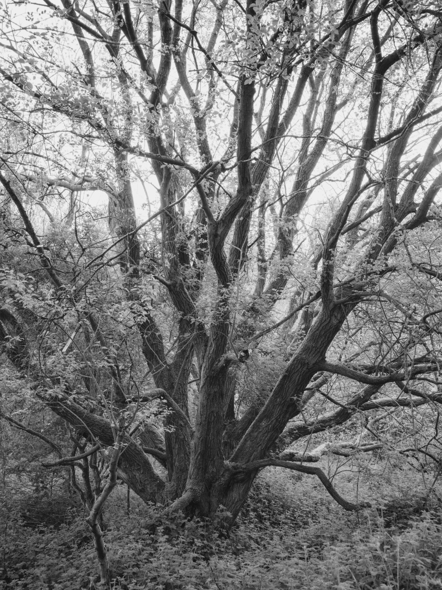Photography 3