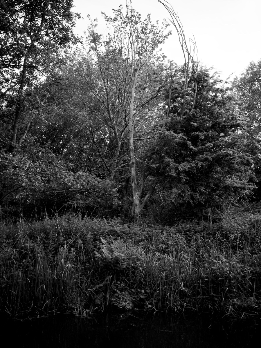 Photography 2