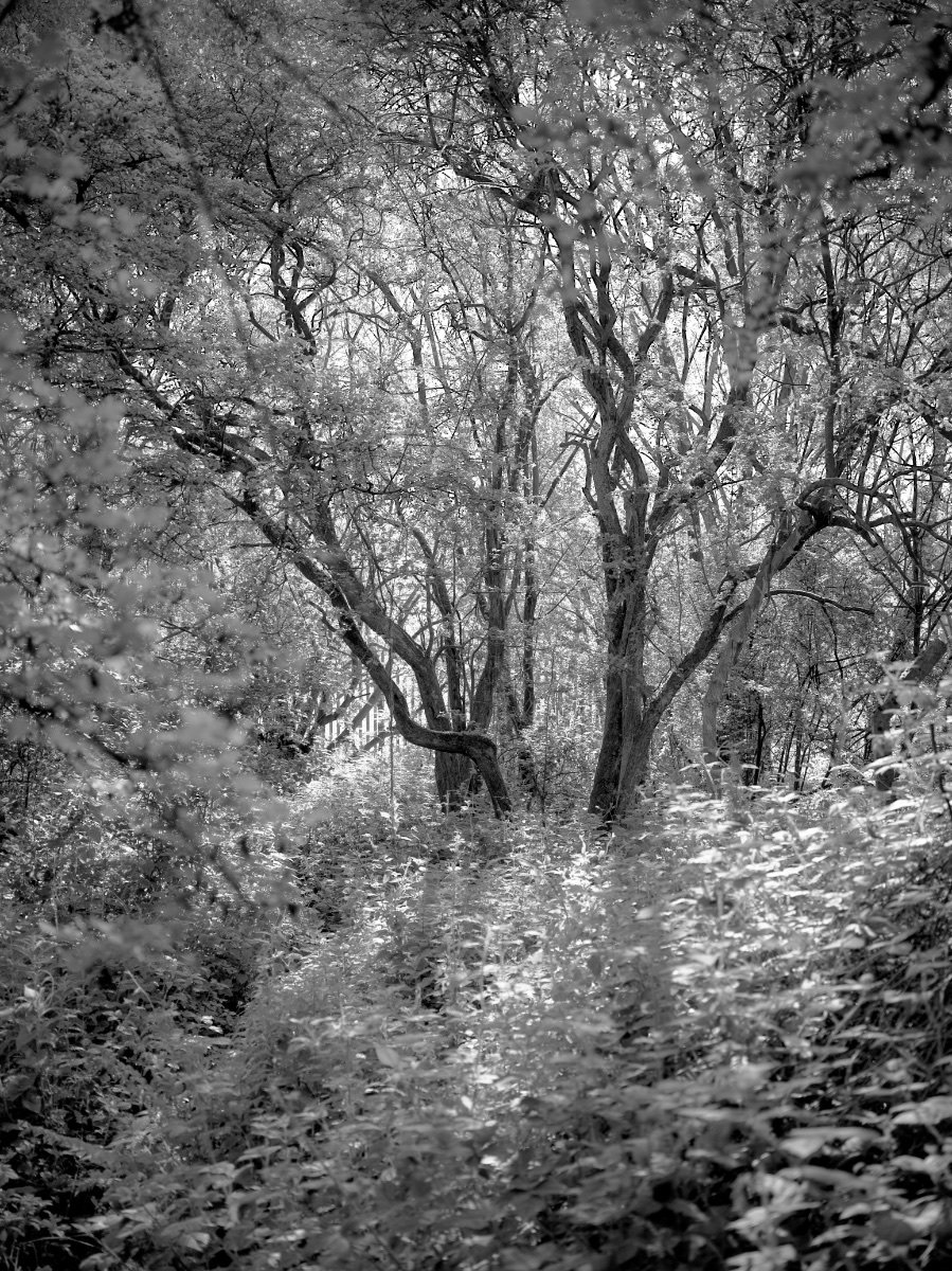 Photography 1